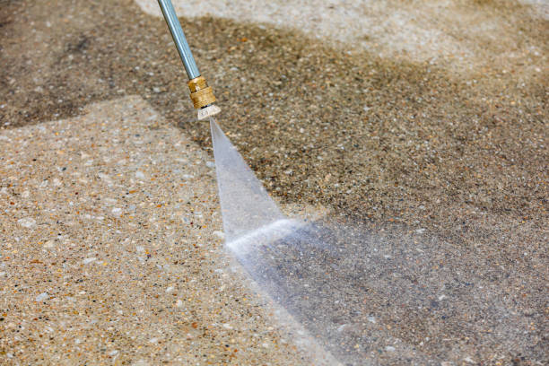 Best Animal Enclosure Cleaning  in Tatum, TX